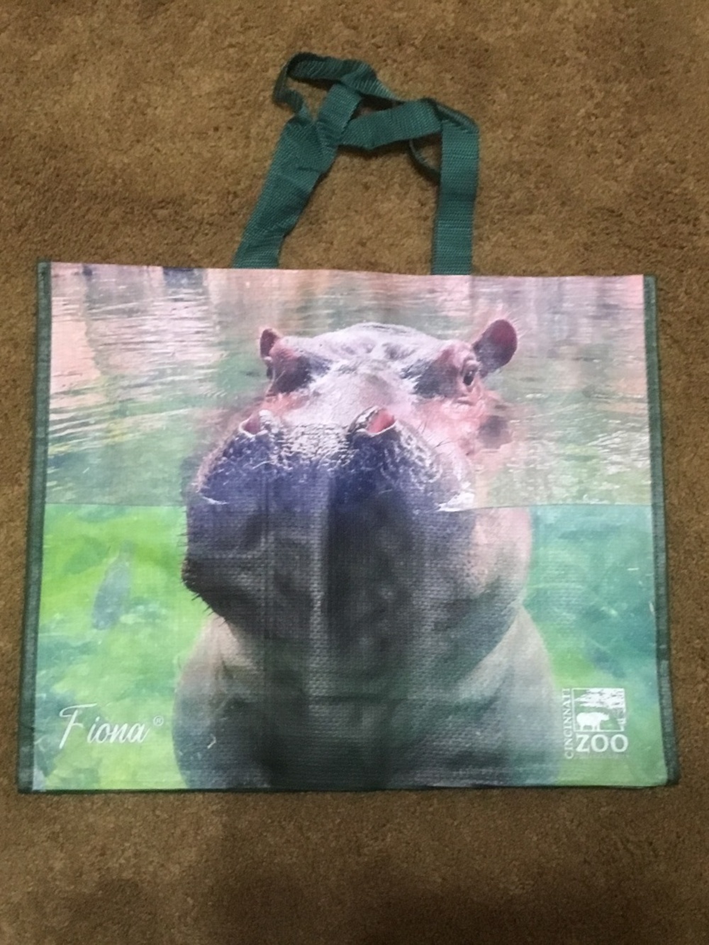 Fiona Eco Tote Nice!